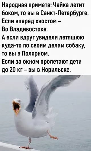 Смешная картинка №660734
