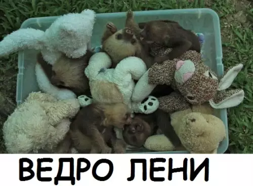 Смешная картинка №286367
