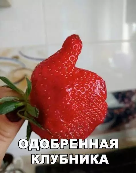Смешная картинка №246001