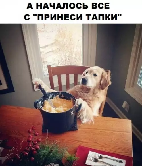 Смешная картинка №309511
