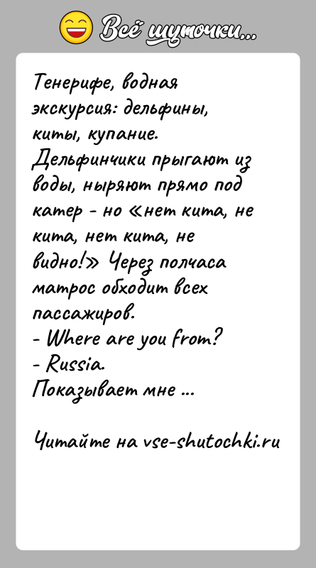 История: Тенерифе, водная экскурсия: дельфины, киты, купание. Дельфинчики прыгают из воды, ныряют прямо под катер - но нет кита, не кита,