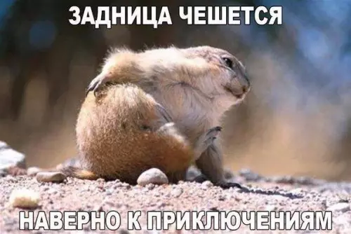 Смешная картинка №189654
