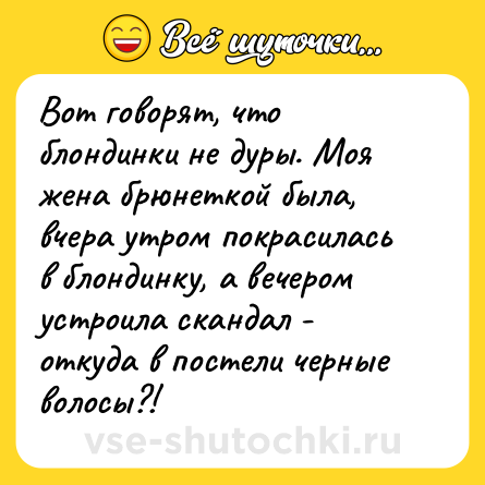 Шутка: Вот говорят, что блондинки не дуры. Моя жена брюнеткой была, вчера утром покрасилась в блондинку, а вечером устроила скандал - откуда в постели черные волосы?!