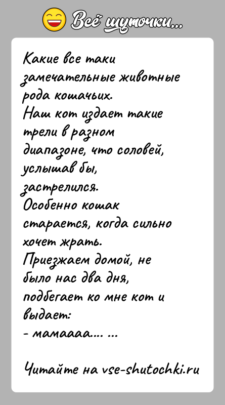 История: Какие все таки замечательные животные рода кошачьих.Наш кот издает такие трели в разном диапазоне, что соловей, услышав бы,застрелился.Особенно кошак старается,