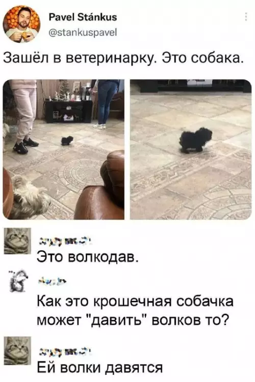 Смешная картинка №709359
