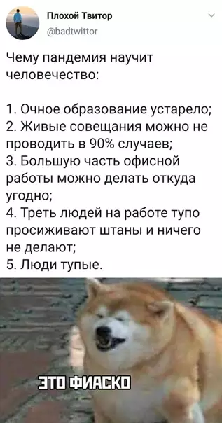 Смешная картинка №478302