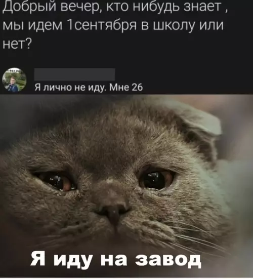 Смешная картинка №510572 Такие вот дела....