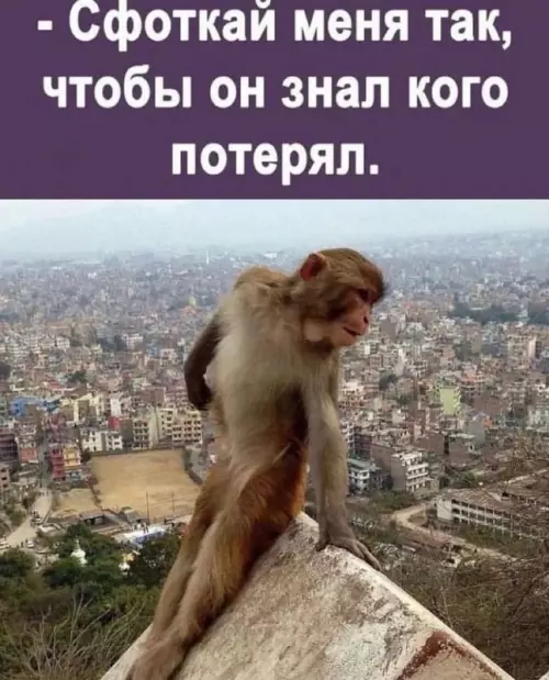 Смешная картинка №691933 Девушки 