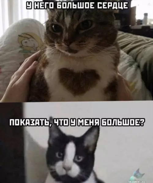 Смешная картинка №404092
