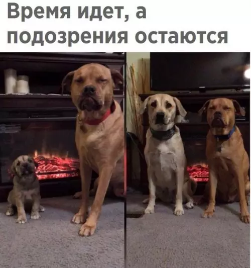 Смешная картинка №256810
