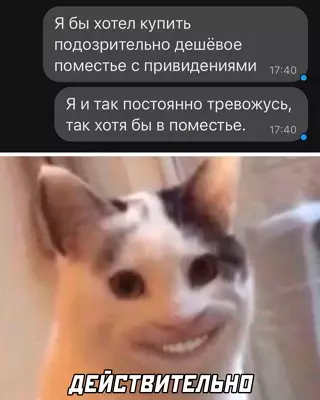 Смешная картинка №648528