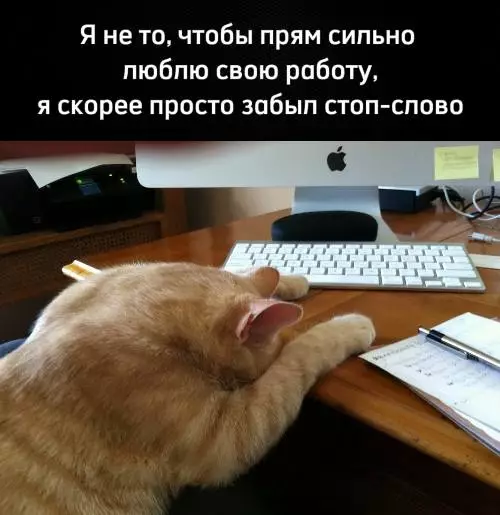 Смешная картинка №724539 Работа