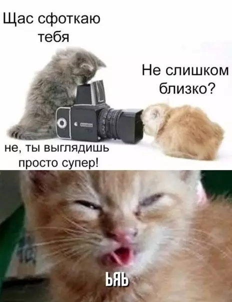 Смешная картинка №350303