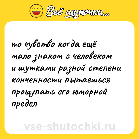 Шутка: то чувство когда ещё мало знаком с человеком и шутками разной степени конченности пытаешься прощупать его юморной предел