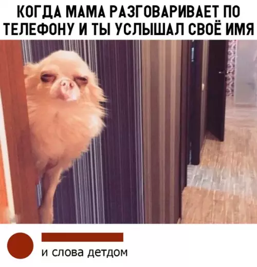 Смешная картинка №321781