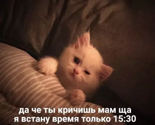 Смешная картинка №787849