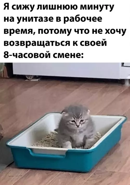 Смешная картинка №662840