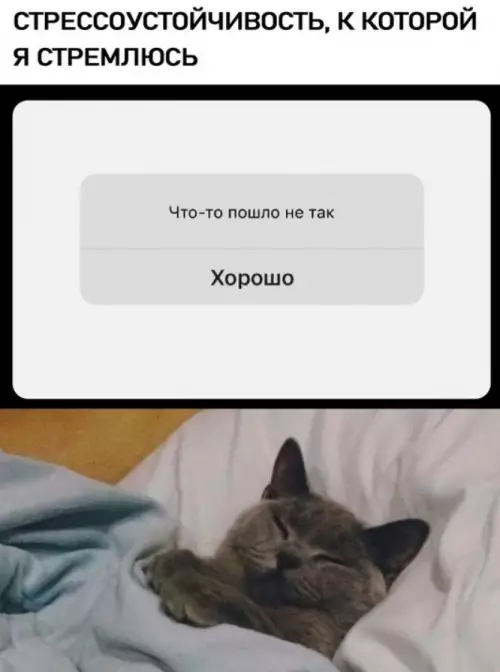 Смешная картинка №734245