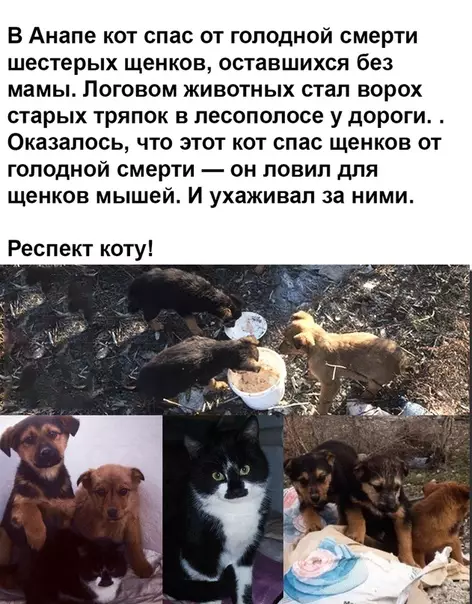 Смешная картинка №371676