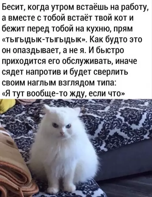 Смешная картинка №759068 Жрааат