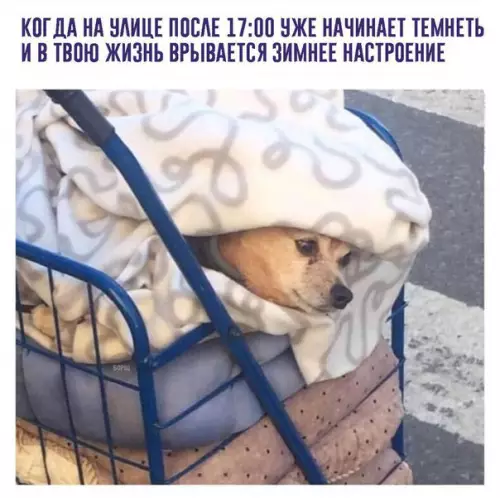 Смешная картинка №217564
