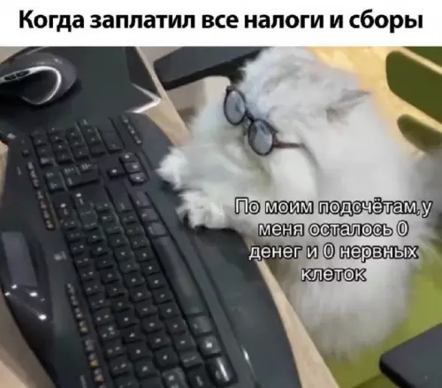 Смешная картинка №702502