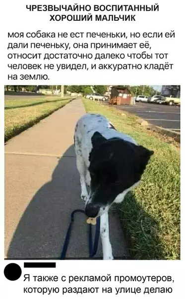 Смешная картинка №498428 Coбaки знaют o вeжливocти бoльшe, чeм нeкoтopые люди