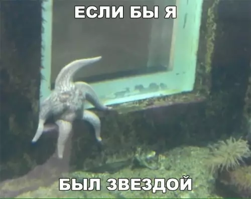 Смешная картинка №203861