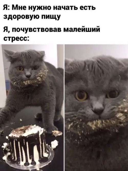 Смешная картинка №652214