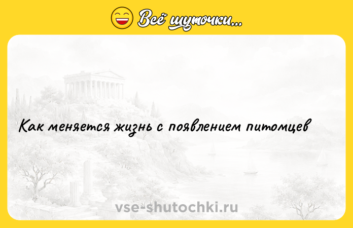 Цитата: Как меняется жизнь с появлением питомцев