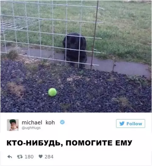 Смешная картинка №289873
