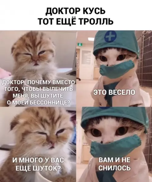 Смешная картинка №446515