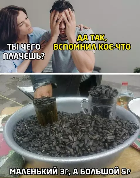Смешная картинка №508936