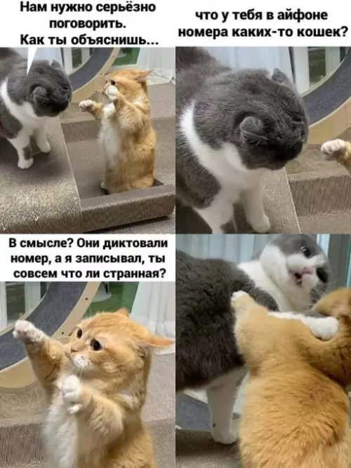 Смешная картинка №703322
