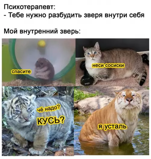 Смешная картинка №554638 To, чтo ocтaётcя нeизмeнным