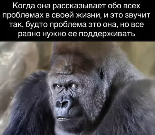 Тот самый взгляд слушателя 🦍 - Когда она рассказывает обо всех проблемах в своей жизни, и