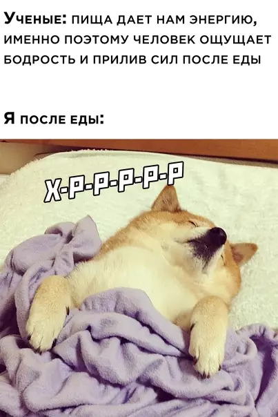 Смешная картинка №550709