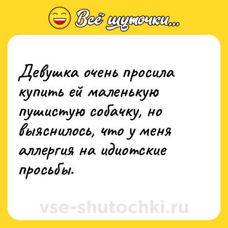 Шутка: Девушка очень просила купить ей маленькую пушистую собачку, но выяснилось, что у меня аллергия на идиотские просьбы.