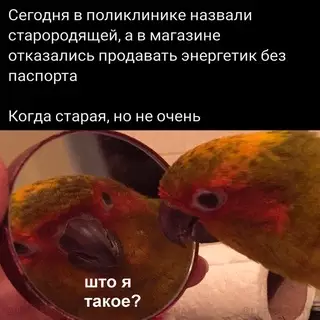 Смешная картинка №685819