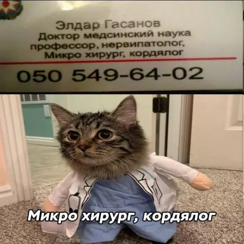 Смешная картинка №802096 Вызывает доверие 