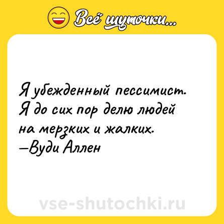 Шутка: Я убежденный пессимист. Я до сих пор делю людей на мерзких и жалких. —Вуди Аллен
