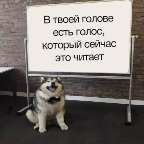 Смешная картинка №375479