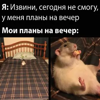 Смешная картинка №675210