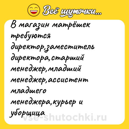 Шутка: В магазин матрёшек требуются директор,заместитель директора,старший менеджер,младший менеджер,ассистент младшего менеджера,курьер и уборщица