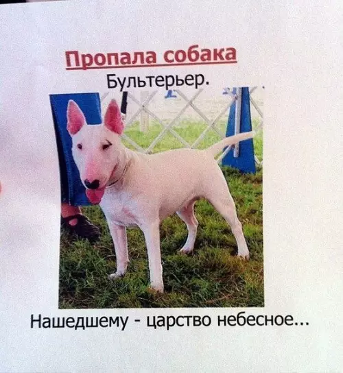 Смешная картинка №201218