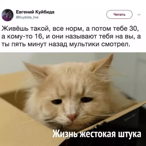 Смешная картинка №291651
