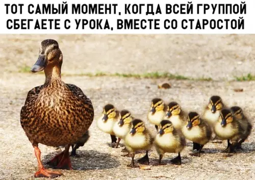 Смешная картинка №301978