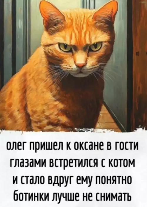 Смешная картинка №818327 Коты