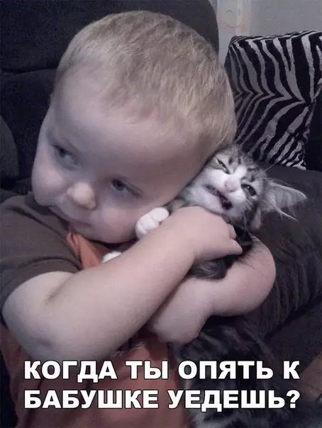 Смешная картинка №245320