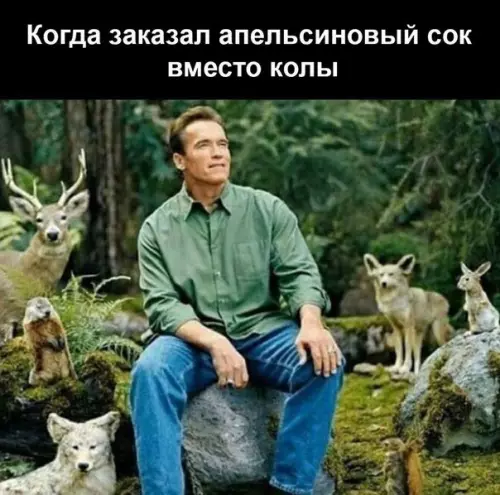 Смешная картинка №264631